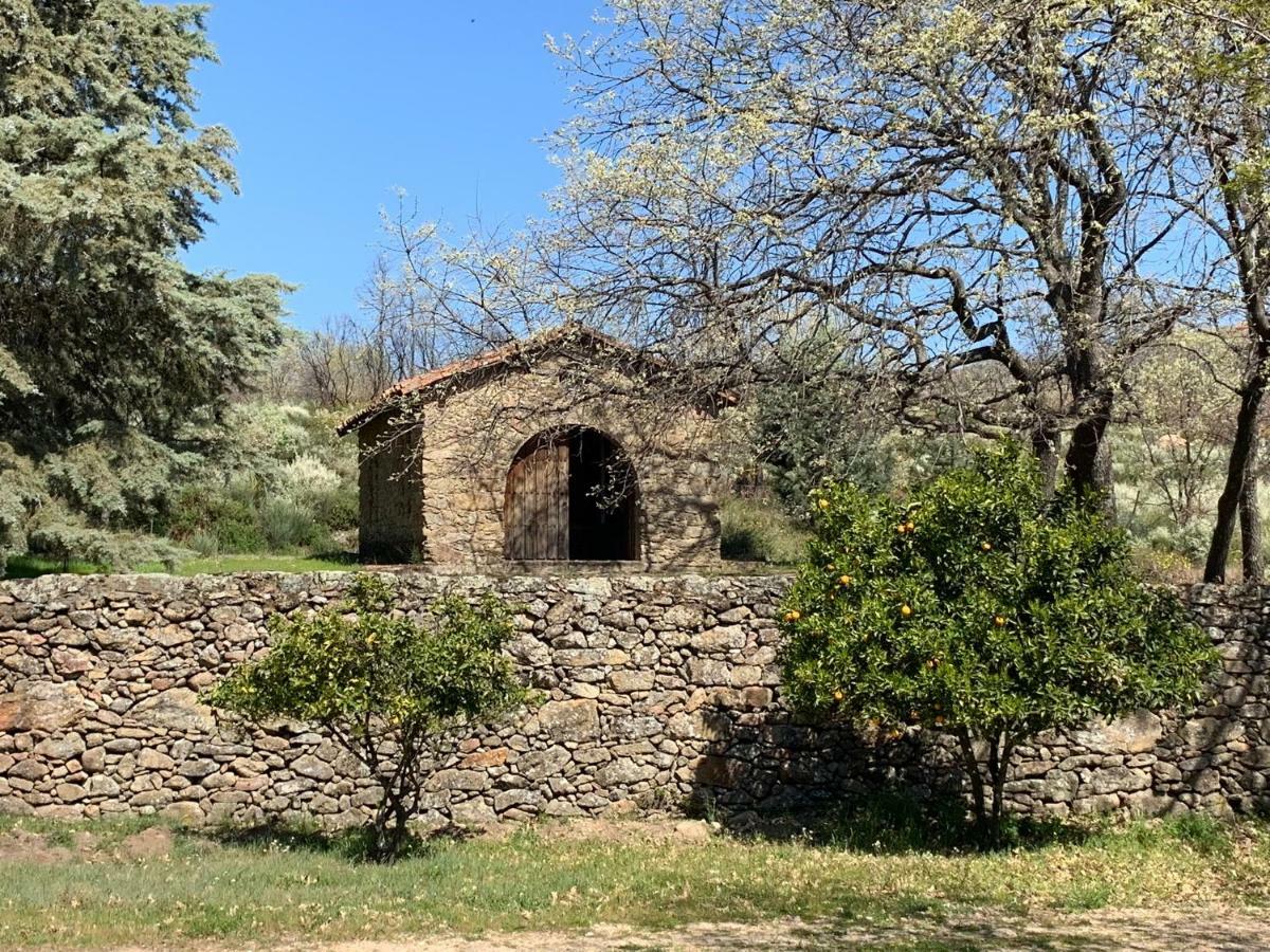 Casa Rural Los Robles Acebo Exteriör bild