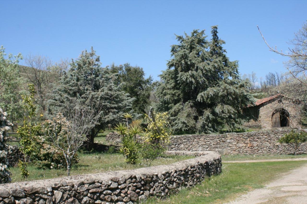 Casa Rural Los Robles Acebo Exteriör bild